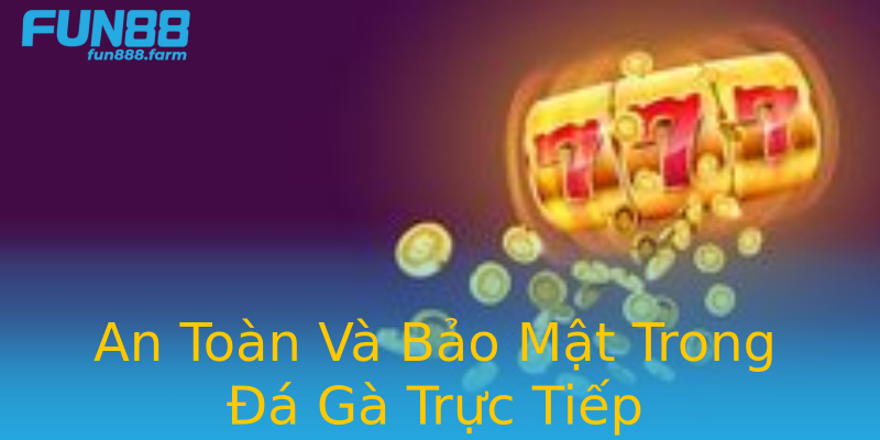 An Toàn Và Bảo Mật Trong Đá Gà Trực Tiếp An Toàn Và Bảo Mật Trong Đá Gà Trực Tiếp