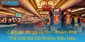 Ca Cuoc A Ga Uy Tin Kham Pha The Gioi A Ga Online Ay Hap Dan