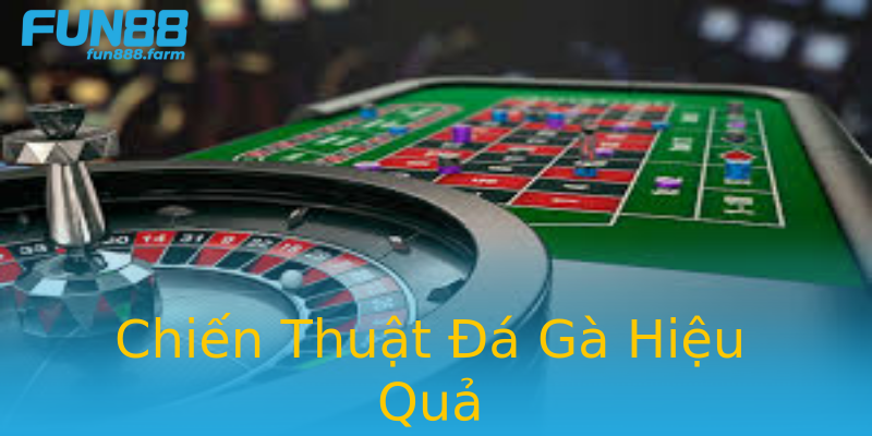 Chiến Thuật Đá Gà Hiệu Quả Chiến Thuật Đá Gà Hiệu Quả