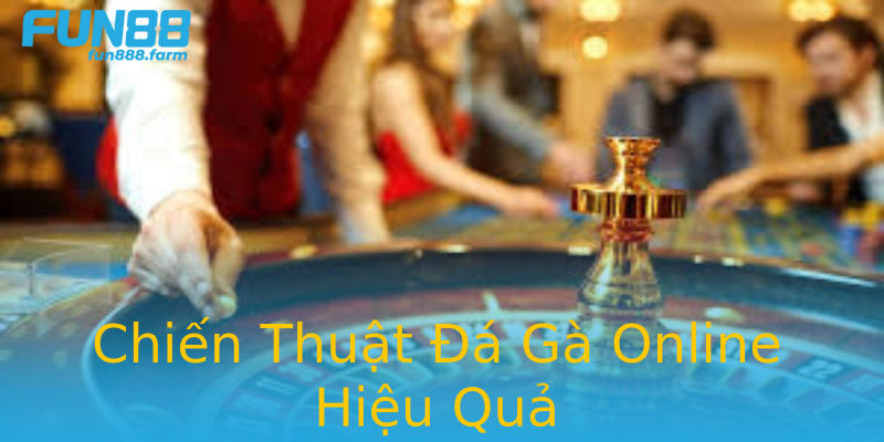Chiến Thuật Đá Gà Online Hiệu Quả Chiến Thuật Đá Gà Online Hiệu Quả