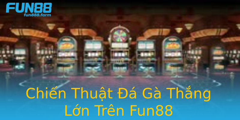 Chiến Thuật Đá Gà Thắng Lớn Trên Fun88 Chiến Thuật Đá Gà Thắng Lớn Trên Fun88