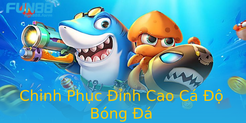 Chinh Phục Đỉnh Cao Cá Độ Bóng Đá