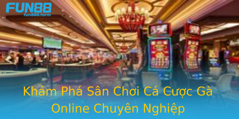 Khám Phá Sân Chơi Cá Cược Gà Online Chuyên Nghiệp Khám Phá Sân Chơi Cá Cược Gà Online Chuyên Nghiệp