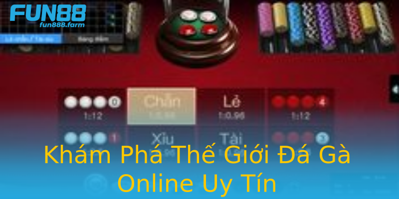 Khám Phá Thế Giới Đá Gà Online Uy Tín Khám Phá Thế Giới Đá Gà Online Uy Tín