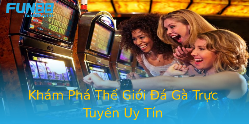 Khám Phá Thế Giới Đá Gà Trực Tuyến Uy Tín Khám Phá Thế Giới Đá Gà Trực Tuyến Uy Tín