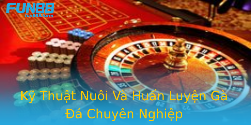 Kỹ Thuật Nuôi Và Huấn Luyện Gà Đá Chuyên Nghiệp Kỹ Thuật Nuôi Và Huấn Luyện Gà Đá Chuyên Nghiệp