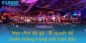 Meo Choi A Ga Bi Quyet E Chien Thang Trong Moi Tran Au