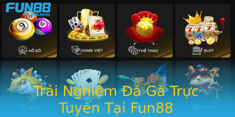 Trải Nghiệm Đá Gà Trực Tuyến Tại Fun88 Trải Nghiệm Đá Gà Trực Tuyến Tại Fun88